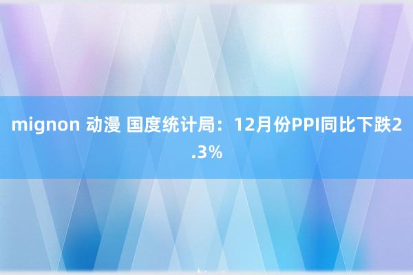 mignon 动漫 国度统计局：12月份PPI同比下跌2.3%